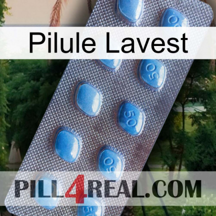 Lavest Pill viagra3